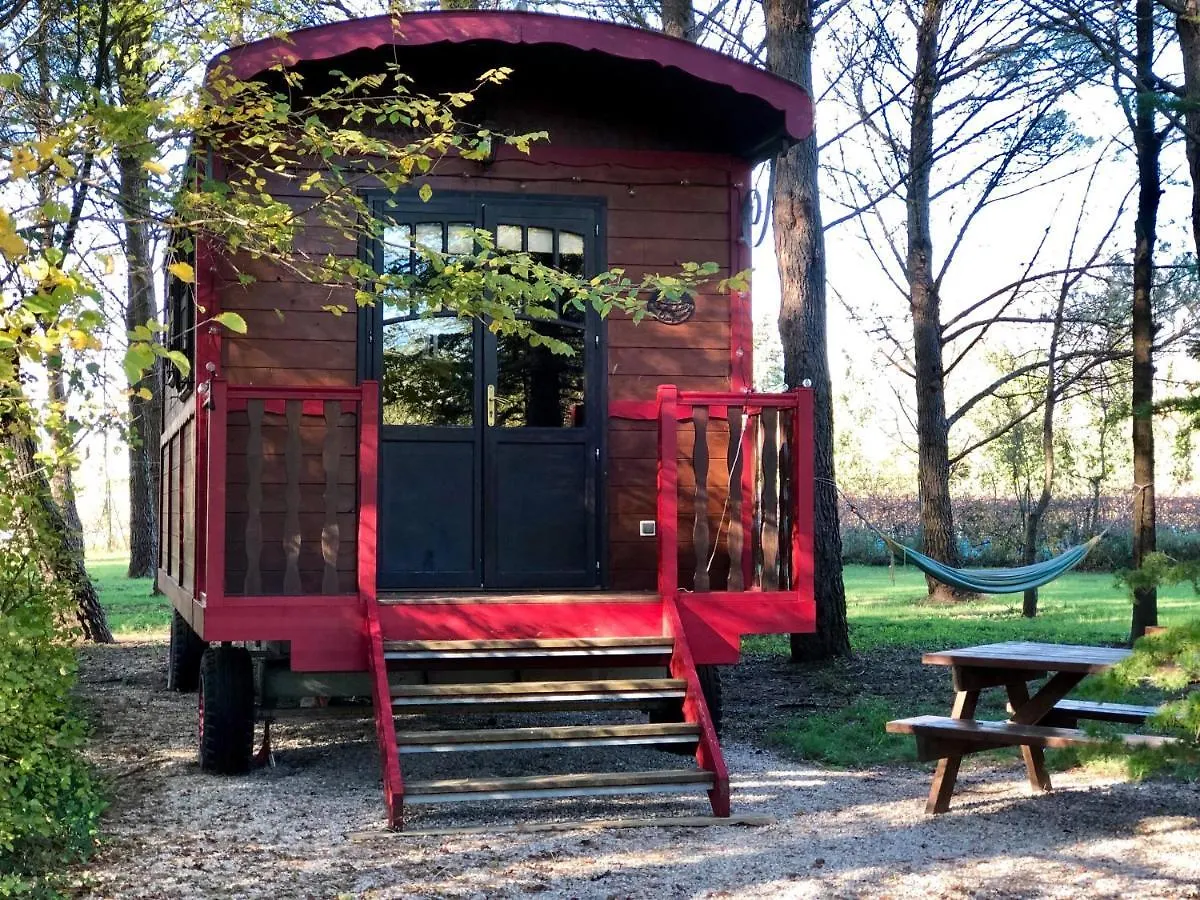 Holiday home Le Mas De Trevouse Saint-Saturnin-les-Avignon